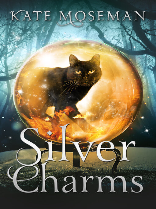 Cover image for Silver Charms
